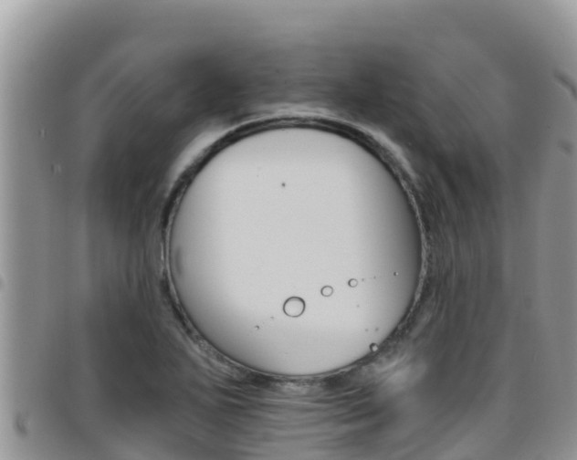 X0000096201271200801181023