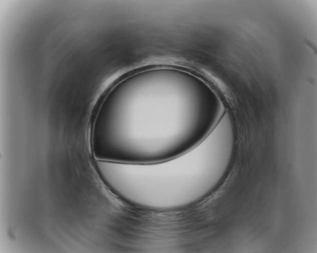 X0000096201272200801181023