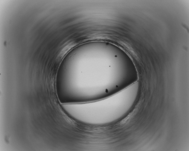 X0000096201273200801181023