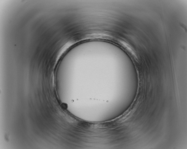 X0000096201275200801181023