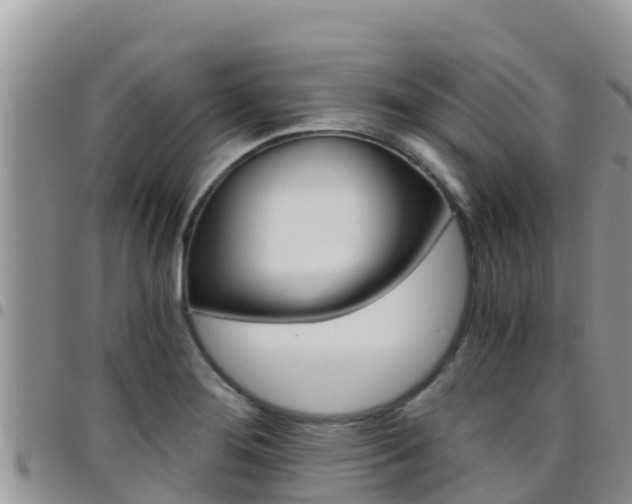 X0000096201276200801181023