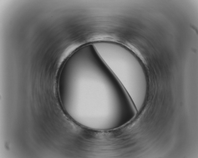 X0000096201277200801181023