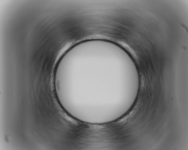 X0000096201278200801181023