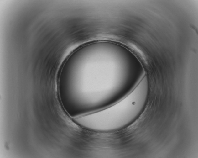 X0000096201280200801181023