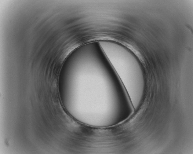 X0000096201281200801181023
