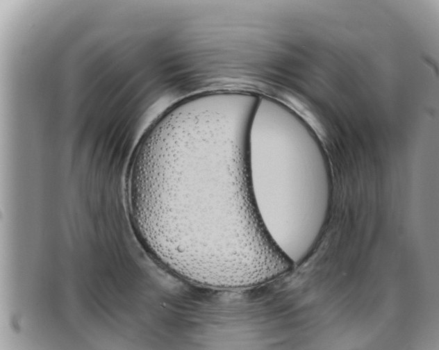 X0000096201283200801181023