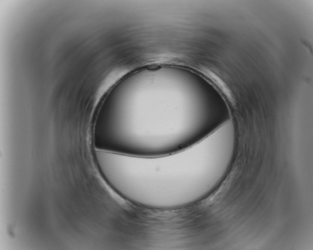 X0000096201285200801181023