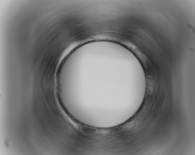 X0000096201286200801181023