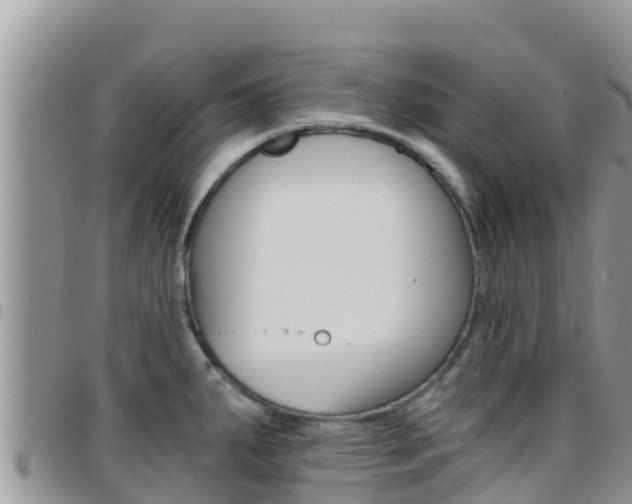 X0000096201287200801181023