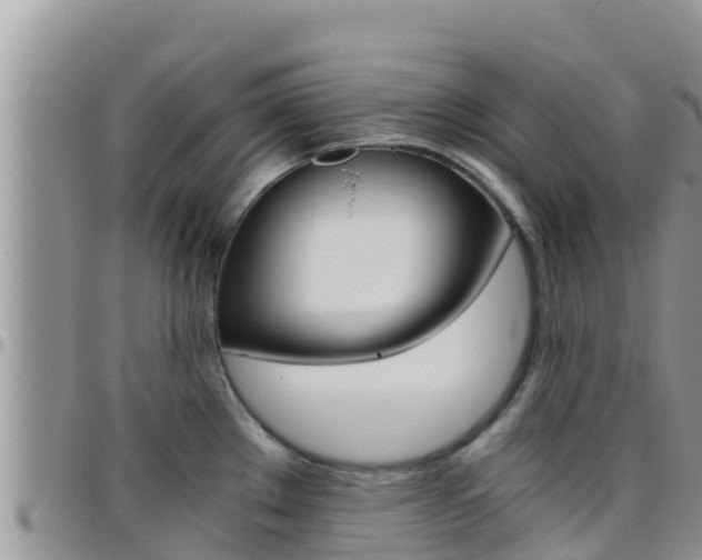 X0000096201289200801181023