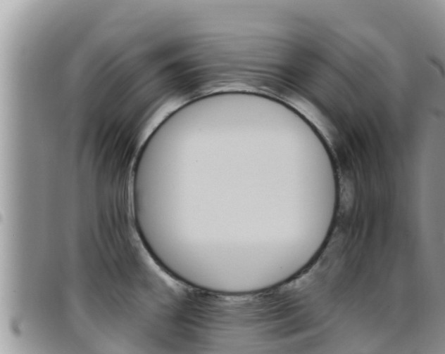 X0000096201290200801181023