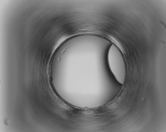 X0000096201291200801181023