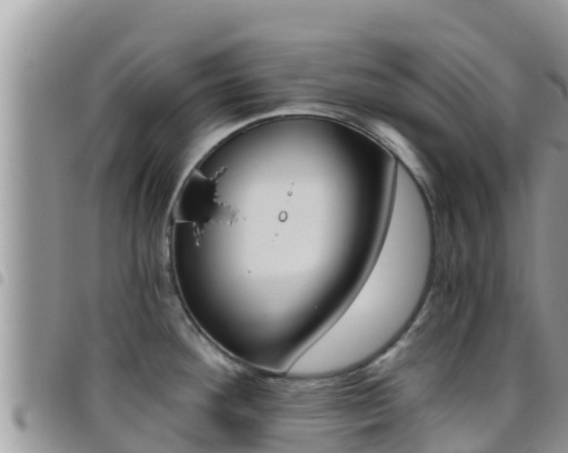 X0000096201292200801181023