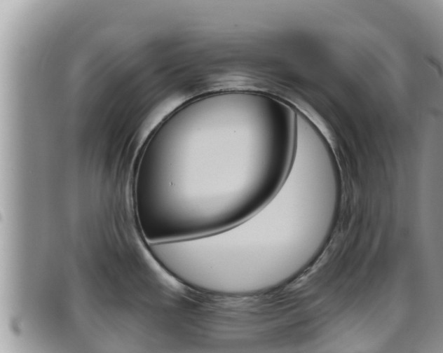 X0000096201293200801181023
