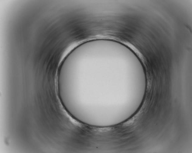 X0000096201294200801181023
