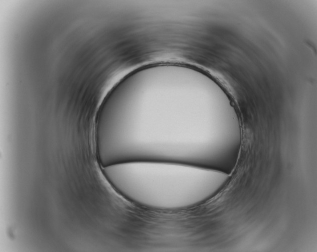 X0000096201295200801181023
