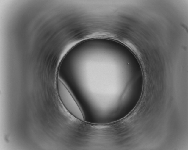 X0000096201296200801181023