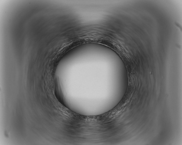 X0000096201297200801181022