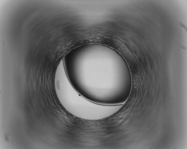 X0000096201298200801181022