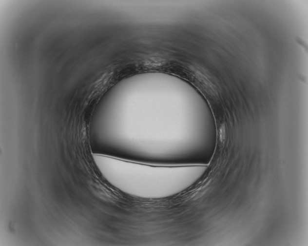 X0000096201299200801181022