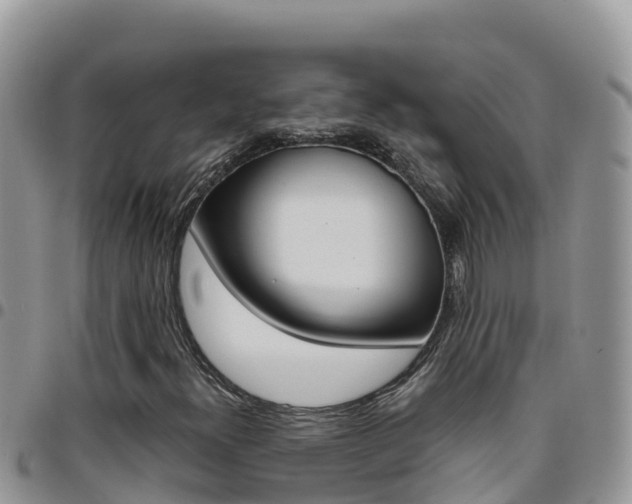 X0000096201300200801181022