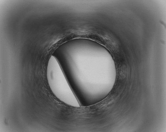 X0000096201301200801181022