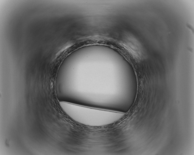 X0000096201302200801181022
