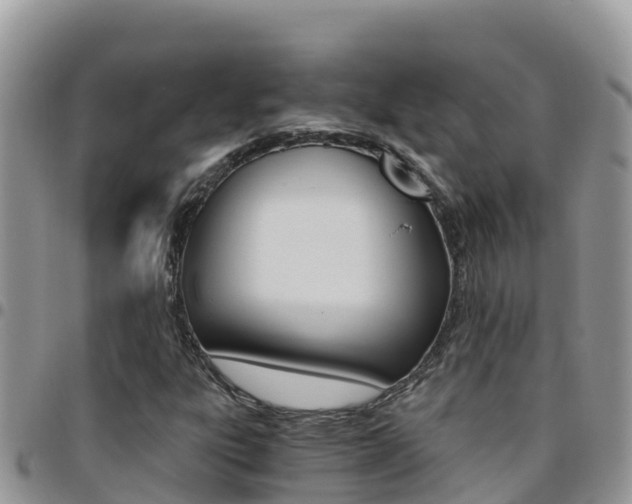 X0000096201303200801181022