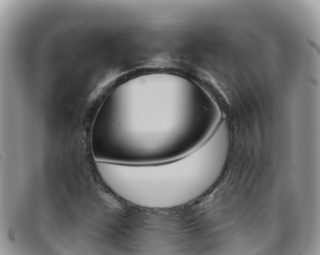 X0000096201304200801181022