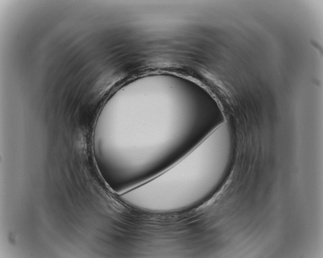 X0000096201305200801181022