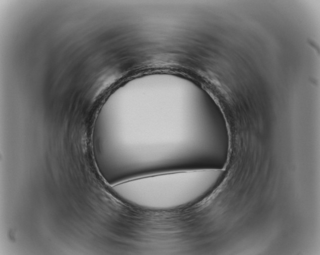 X0000096201306200801181022