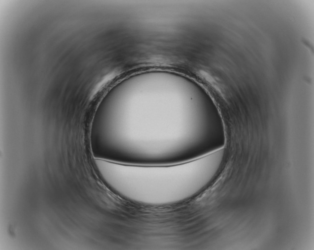 X0000096201307200801181022