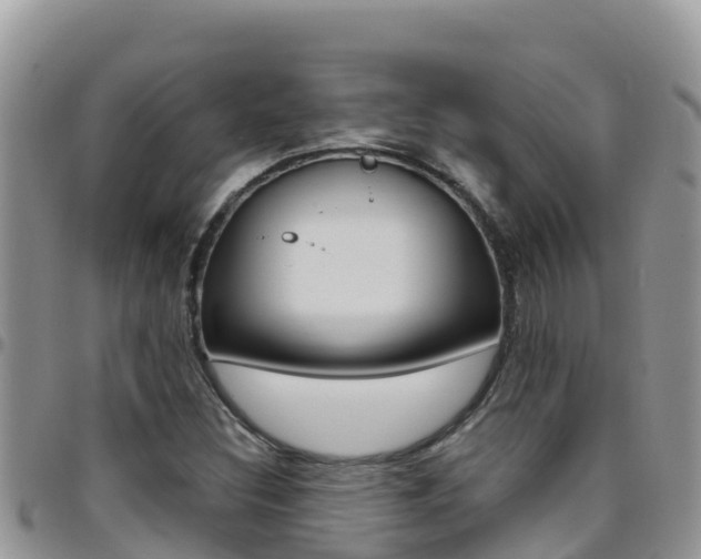 X0000096201308200801181022