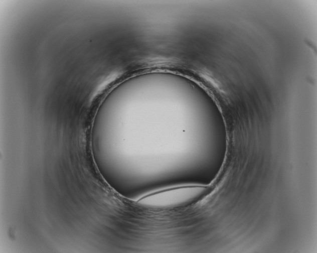 X0000096201309200801181022