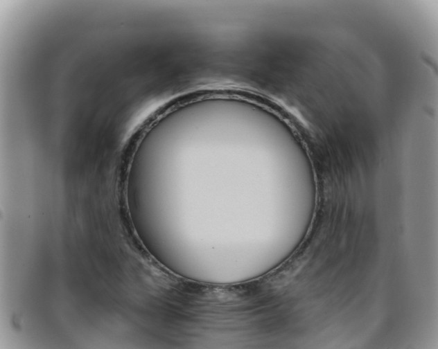 X0000096201311200801181022