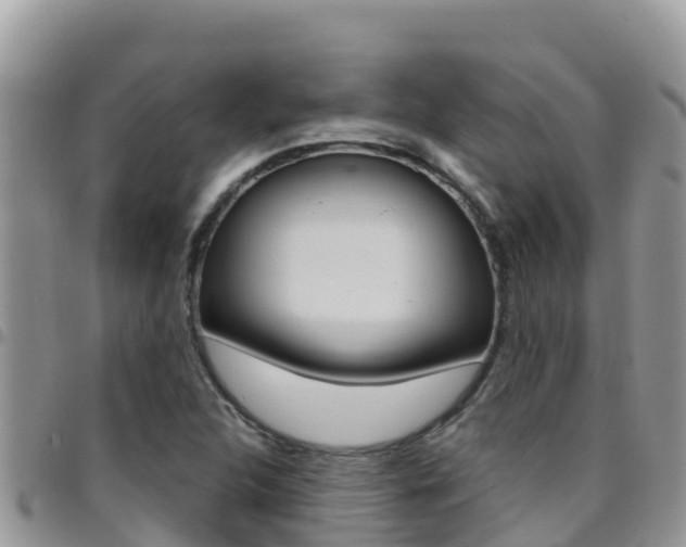 X0000096201312200801181022
