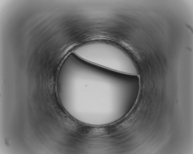 X0000096201313200801181022