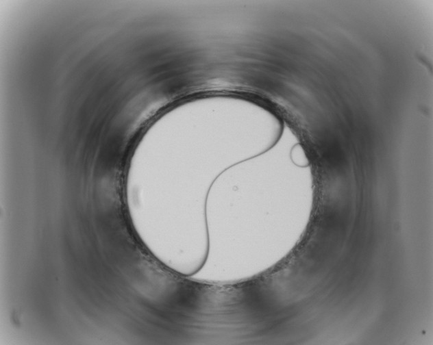 X0000096201314200801181022