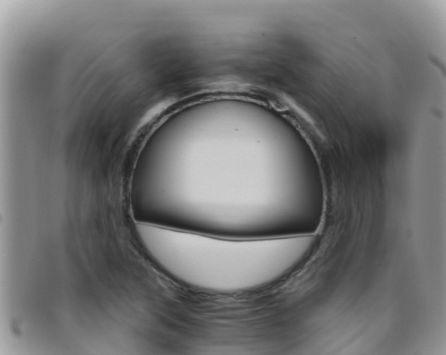 X0000096201315200801181022