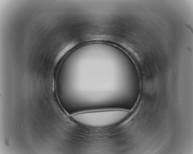 X0000096201317200801181022