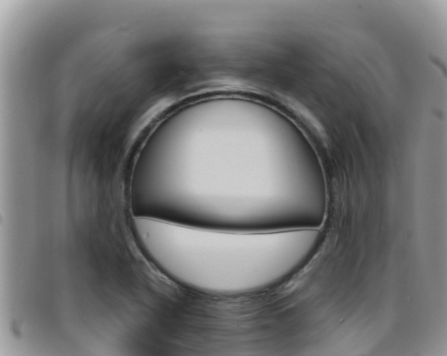 X0000096201318200801181022