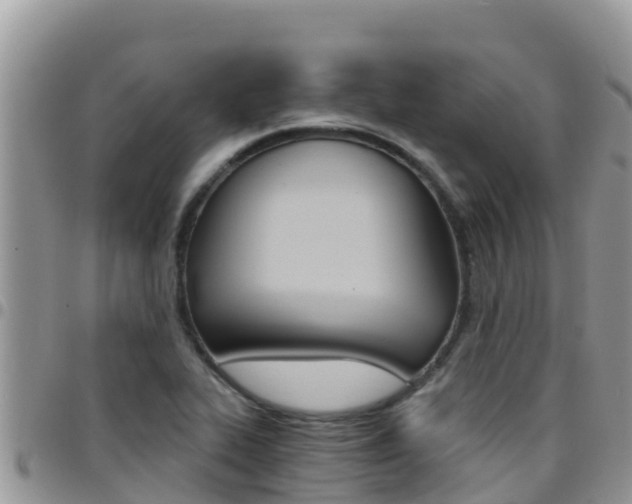X0000096201319200801181022