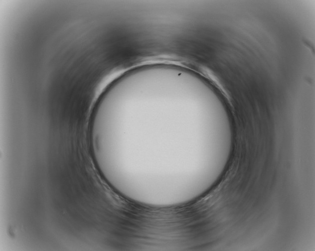 X0000096201320200801181022