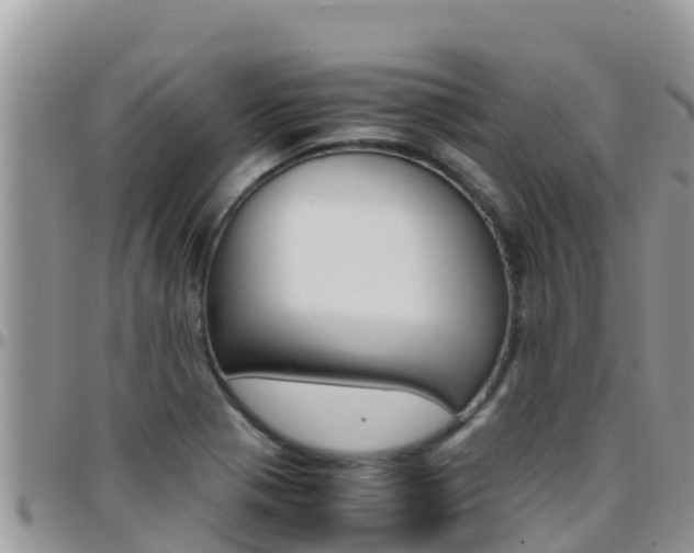 X0000096201321200801181022