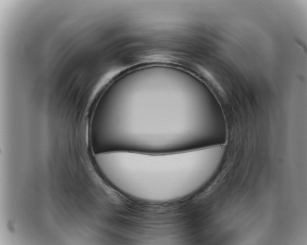 X0000096201323200801181022