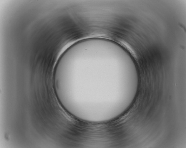 X0000096201324200801181022