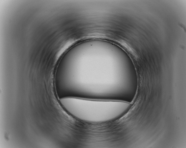 X0000096201325200801181022