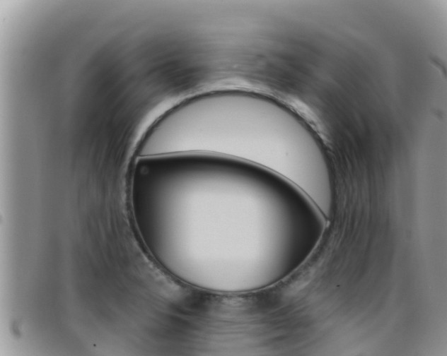 X0000096201326200801181022