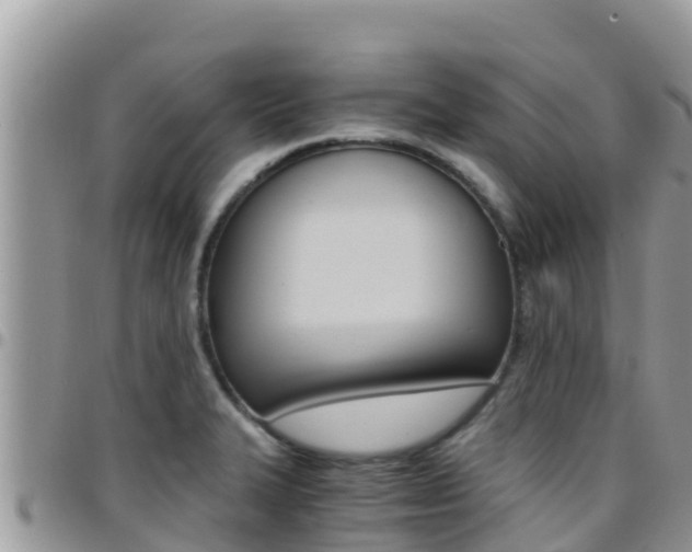 X0000096201327200801181022