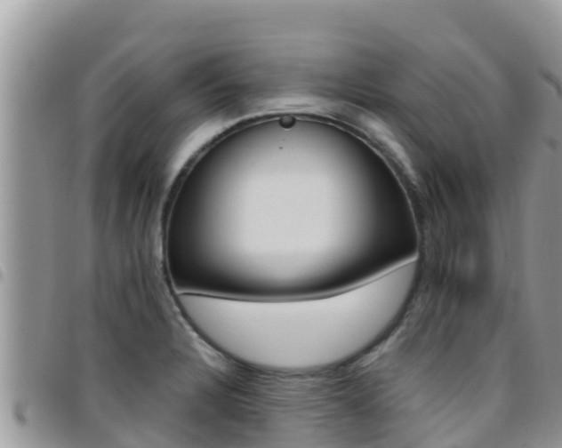 X0000096201328200801181022
